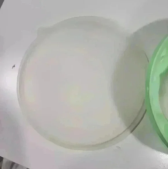 Tupperware Vintage Jello Mold with Lid - Mint Green - 1201-11, 1202-4, 1203-6 - Picture 5 of 6